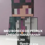 PEDRUX-2.png